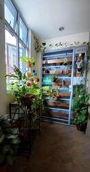 The Sunflower (D14), Apartment #612875951